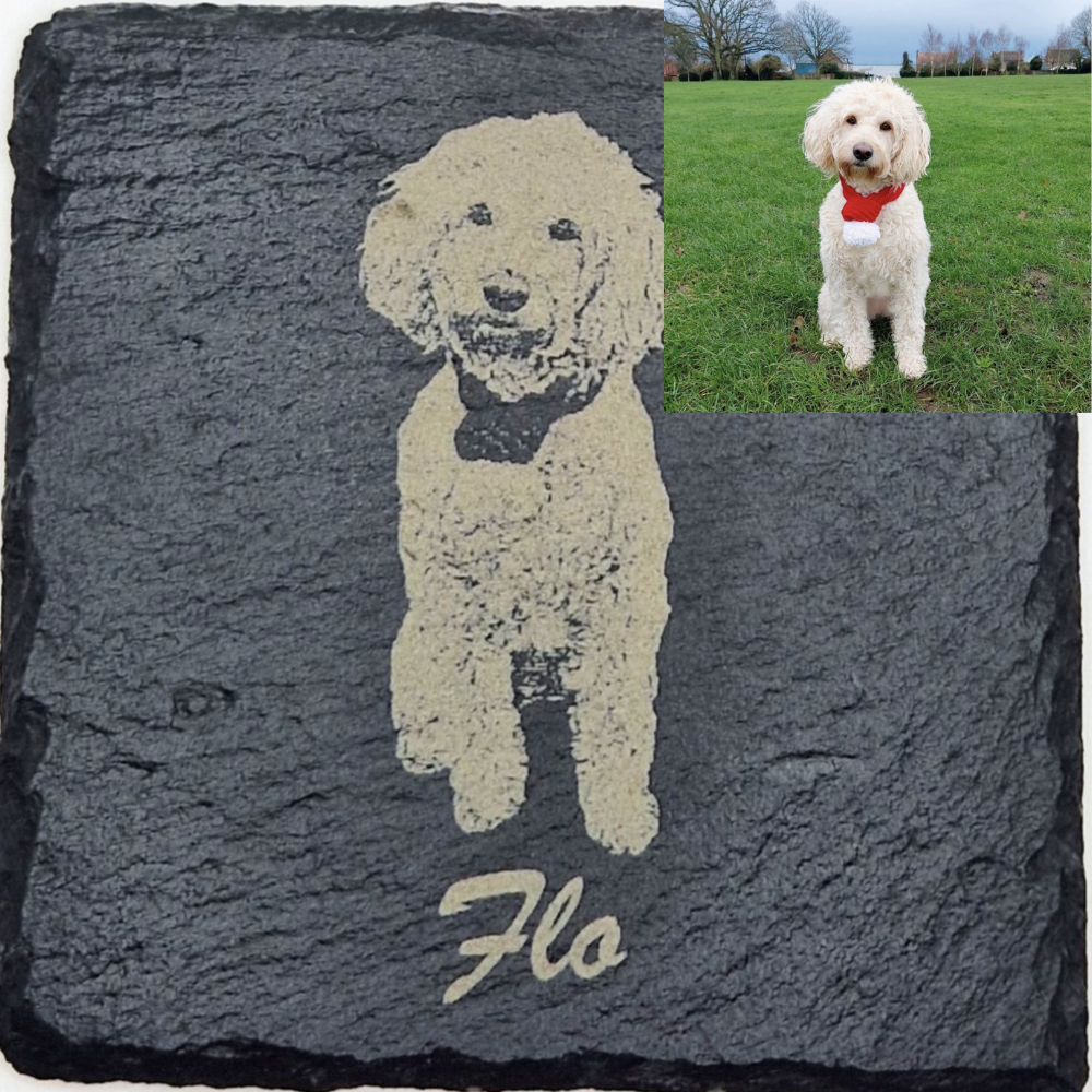 Personalised shop dog coasters